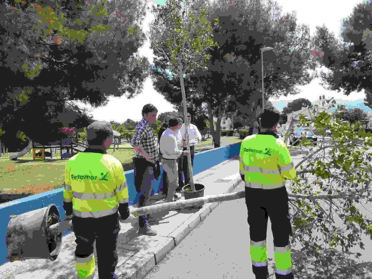 La Diputación invierte 60.000 euros en arbolado urbano en La Nucía