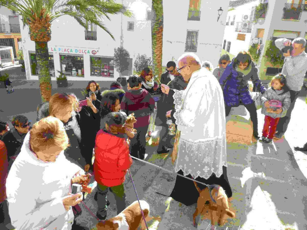 Este domingo “Bendición de Animales” por Sant Antoni en La Nucía