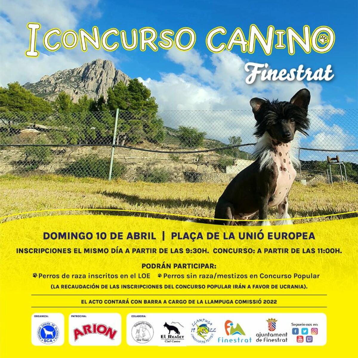 I CONCURSO CANINO DE FINESTRAT 
