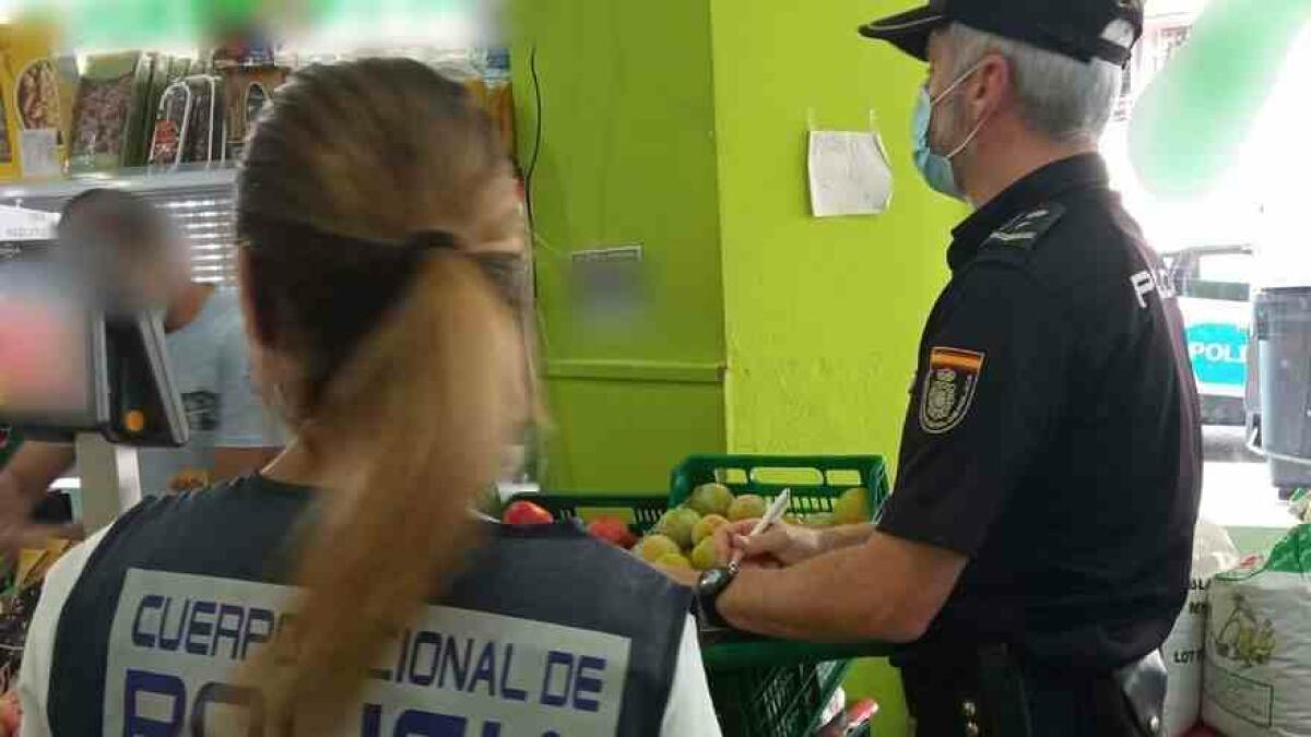 La Policía Nacional detiene a cinco personas en Benidorm por la sustracción de más de 160 kilos de limones ecológicos en una finca