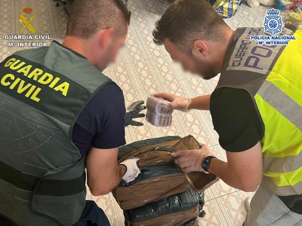 La Guardia Civil y la Policía Nacional desarticulan una organización criminal dedicada al tráfico de drogas