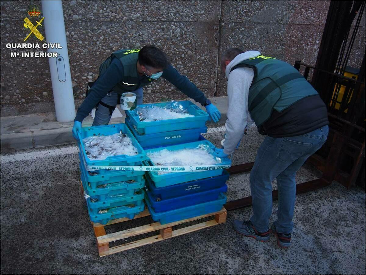 La Guardia Civil interviene 110 kilogramos de pescado ilegal en Altea