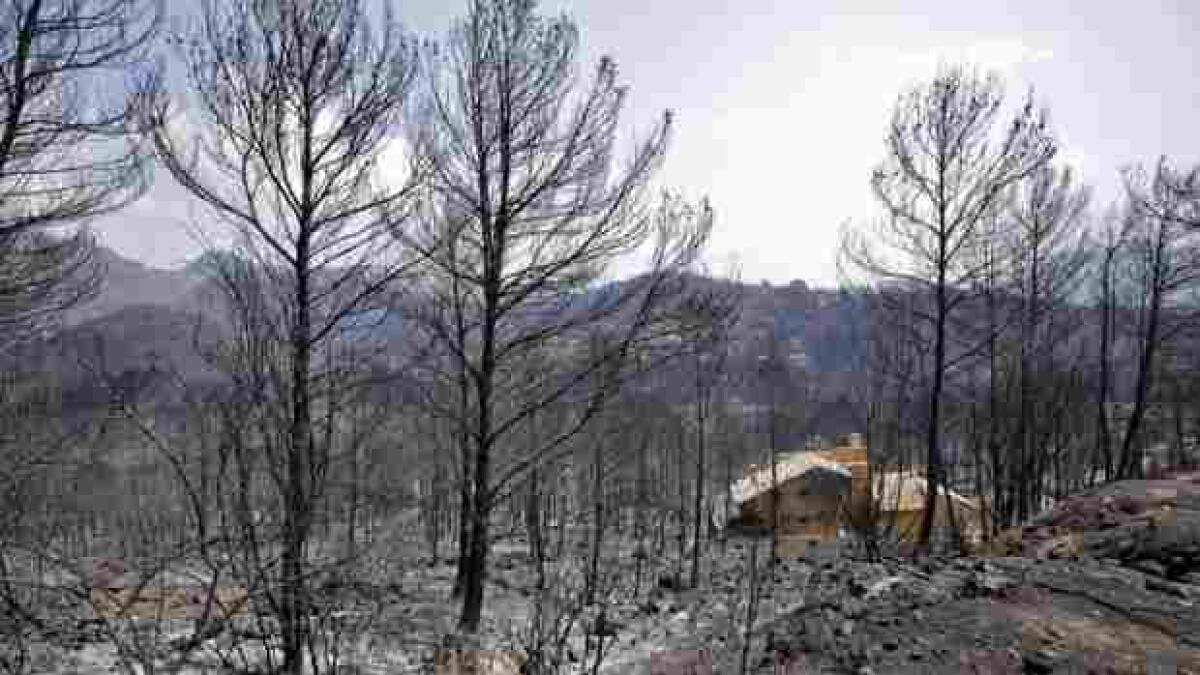 La Generalitat dará ayudas a los afectados por el incendio de Gandia sin limitaciones por su renta