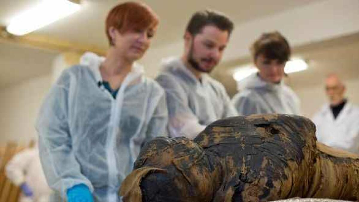 Hallada en un museo de Varsovia la primera momia egipcia embarazada