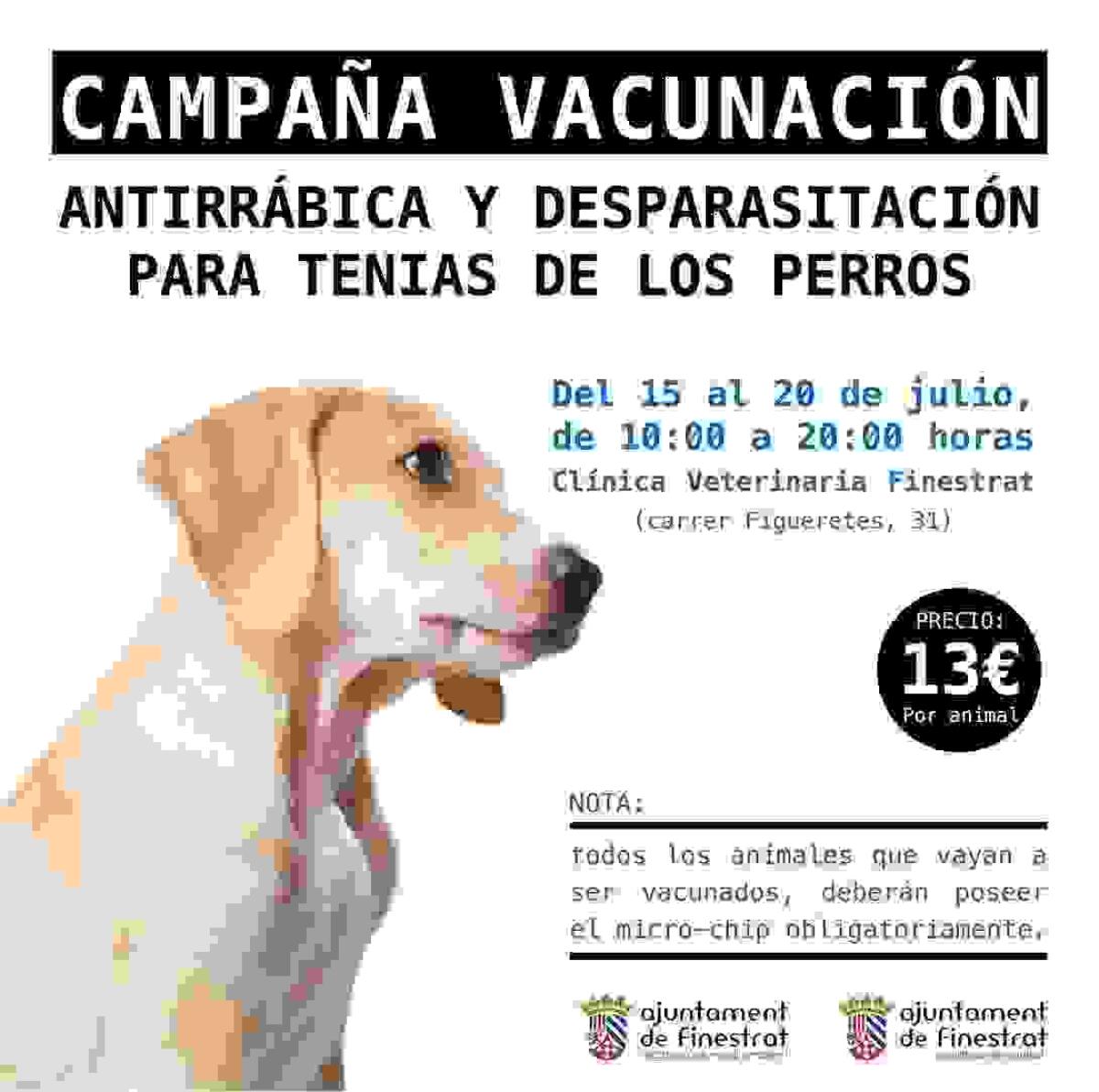 Campaña de vacunación antirrábica de las mascotas del 15 al 20 de julio en Finestrat