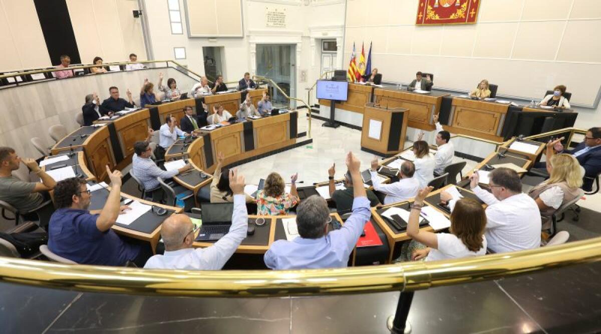 El pleno de la Diputación insta a ADIF a activar un AVE Alicante-Madrid low cost y reclama paradas en Atocha  