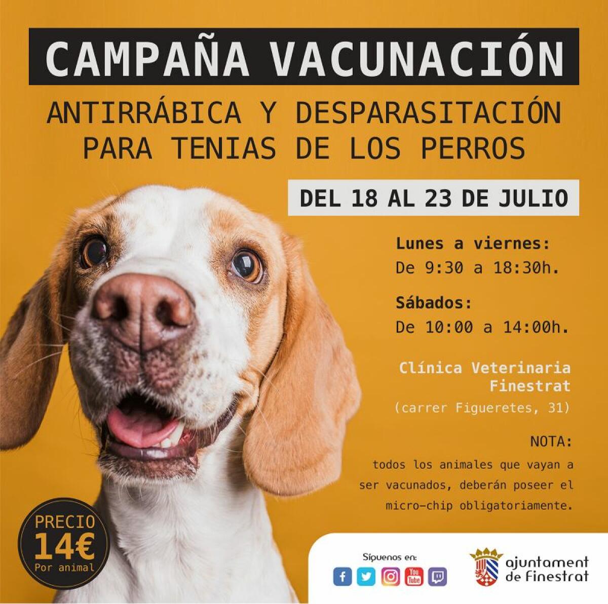 Mascotas CAMPAÑA DE VACUNACIÓN ANTIRRÁBICA EN FINESTRAT: DEL 18 AL 23 DE JULIO