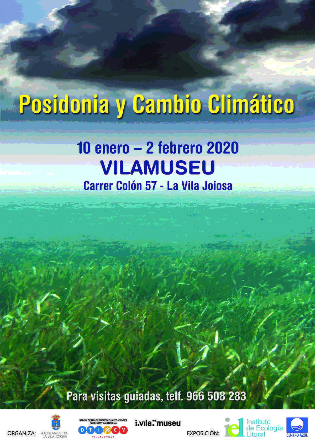 "Posidonia y Cambio Climático" del Instituto de Ecologia Litoral se expone en la Sede Universitaria de la Vila