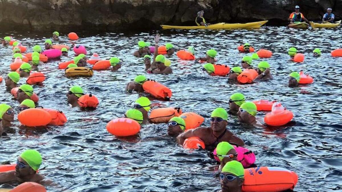 La XX Travesía a nado regresa a su recorrido habitual y vuelve a salir de L’illa