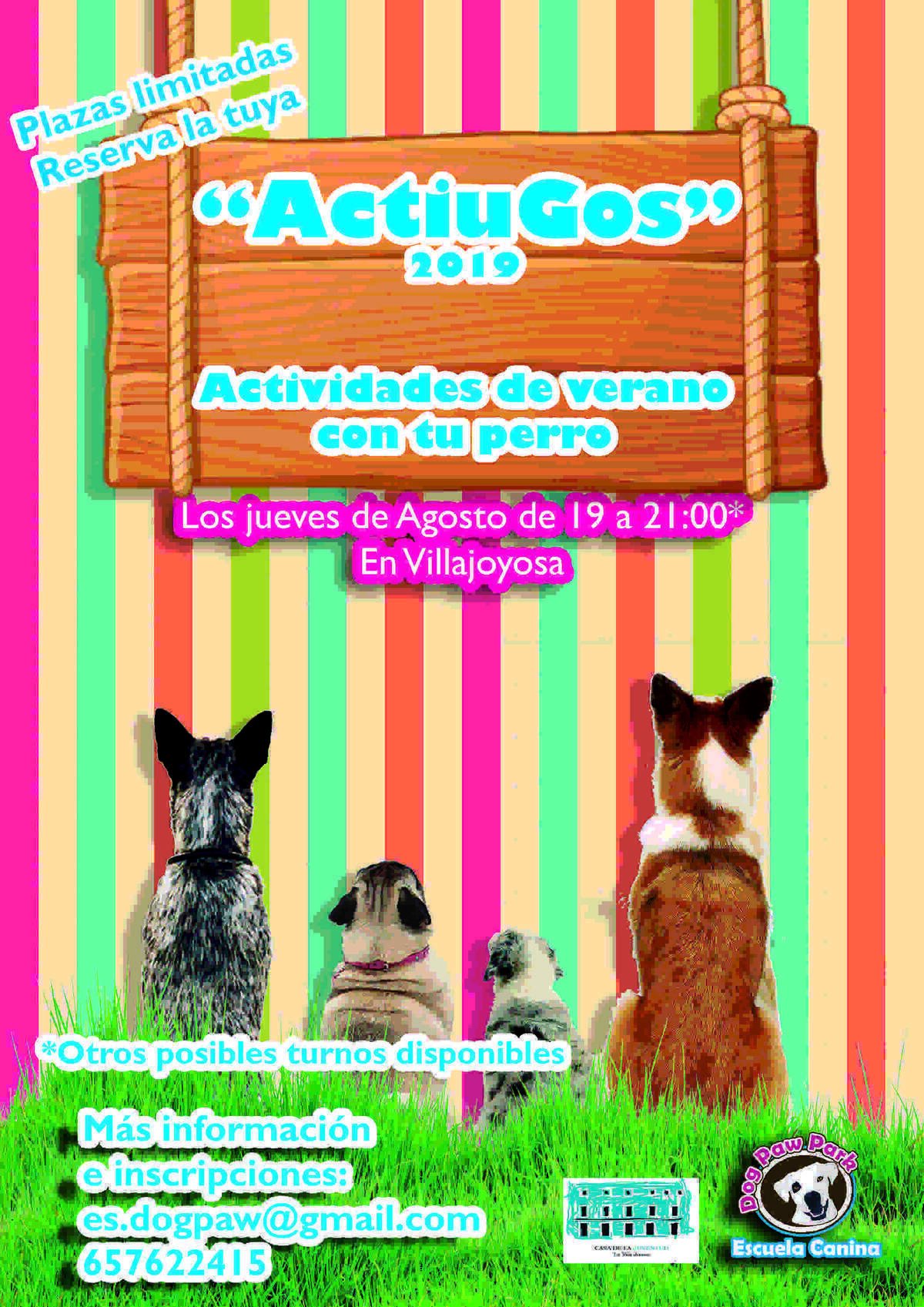 La Vila // Juventud y Dog Paw organizan una nueva edición de ‘ActiuGos’, programa de actividades lúdicas con perros este verano
