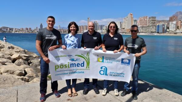 El proyecto Posimed inicia en Benidorm la medición de las praderas de posidonia de todo el litoral alicantino